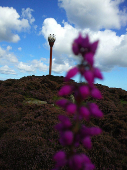 Danby Beacon Photo