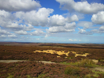 The view from Danby Beacon Photo