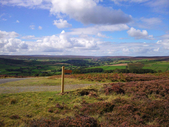 Moors around Danby Photo