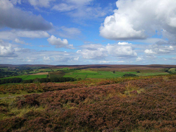 Danby Moor Photo