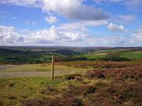 North Yorkshire Moors photo