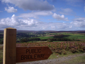 Danby Moorland Photo