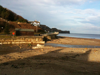 East Beck Sandsend Photo