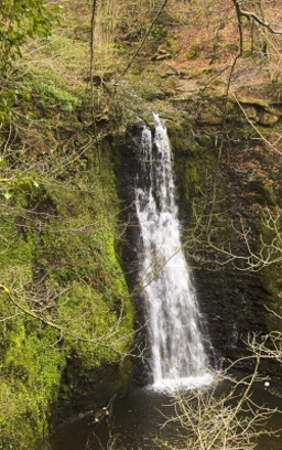 Falling Foss Photo