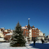 Whitby's Christmas Tree