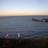 Seagull's on Whitby West Cliff