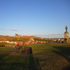 Whitby in the Evening Sun