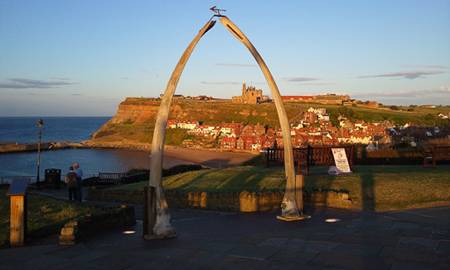 The Whale Bones