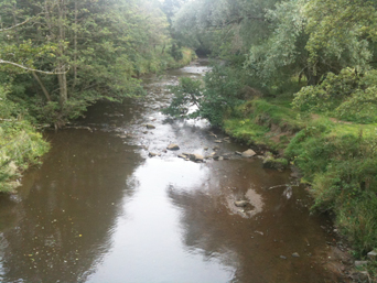 Esk River Lealholm Photo