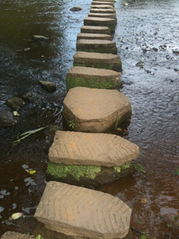 Lealholm Stepping Stones  Photo