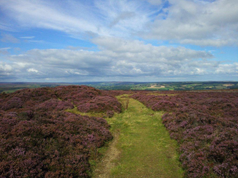 Moorland Photo