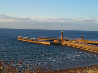 Whitby Piers in the Evening Sun Photo