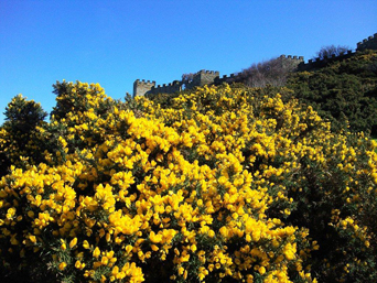 Battlements at the Raven Hall Hotel Photo