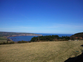 View from Ravenscar Photo 