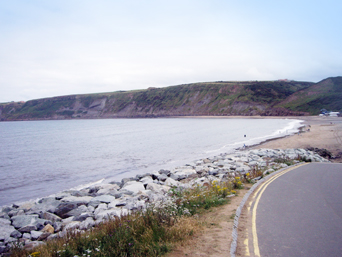 Runswick Bay Beach Photo