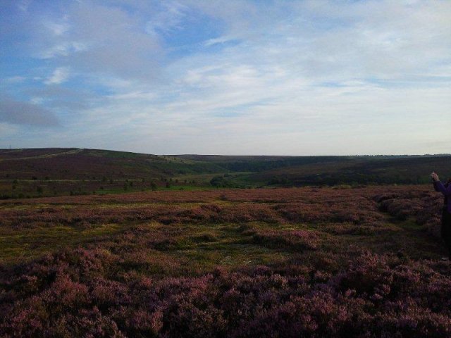 North Yorkshire Moors photograph