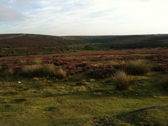 North Yorkshire Moors photograph