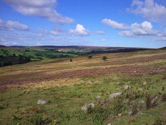 Countryside near Castleton Photo