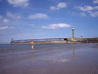 Whitby West Cliff Beach Photo