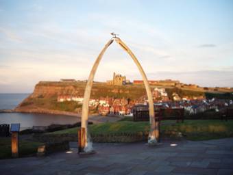 Whitby Whale Bones Photo