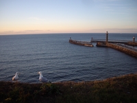 Whitby piers photo