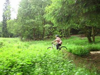 Photo of cyclist in Dalby Forest