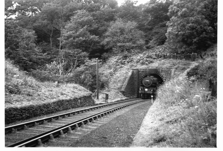 Photo of train emerging from Sandsend Tunnel