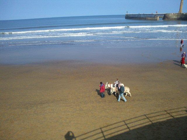 Photo of donkey rides on the beach in Whitby
