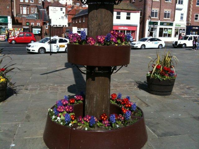 Photo of floral display in Whitby