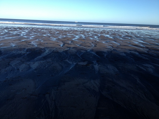 Photo of seacoal on Whitby beach