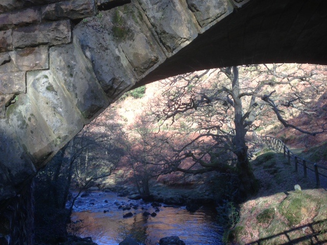  A photo take under the bridge at Goathland