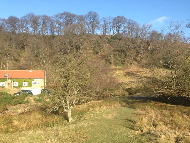 The clearing near Goathland