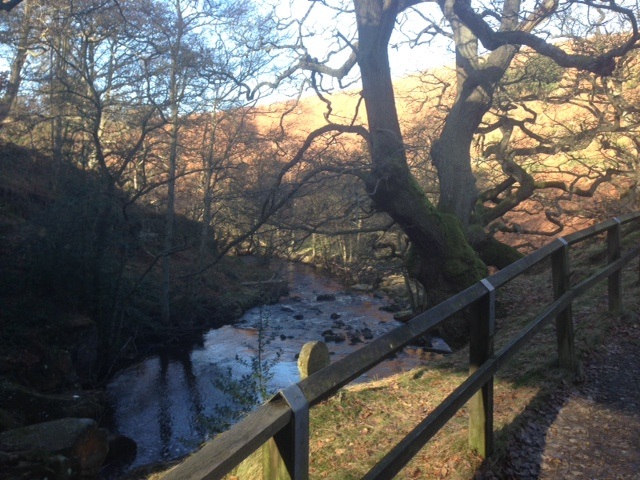 Photo of a river near Goathland