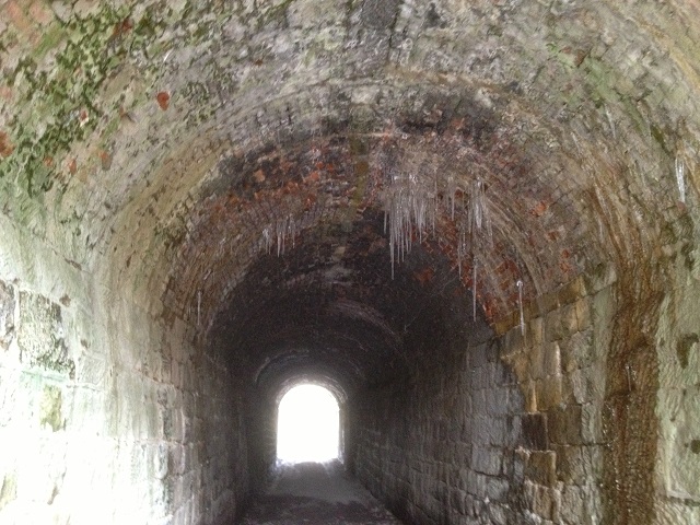 Photo of icicles under bridge in Mulgrave Woods