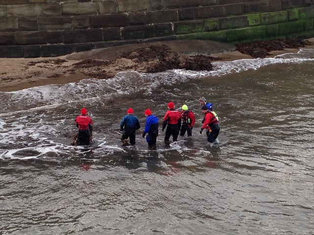 Photo of volunteers trying to remove kelp