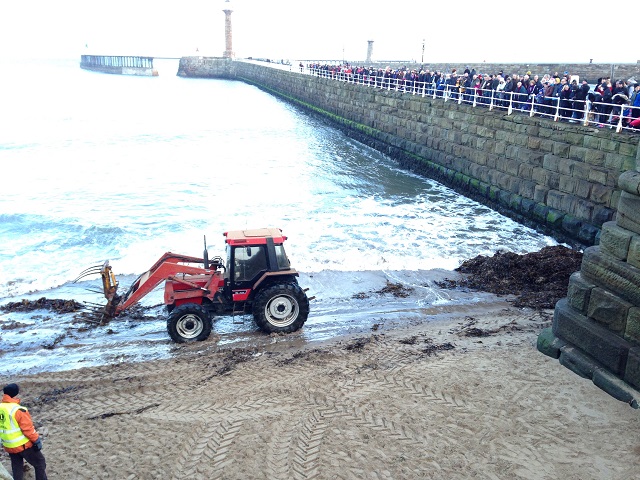 Photo of the tractor on the beach for removal of kelp