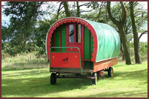Golden Hill Farm