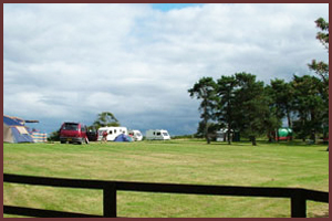 Golden Hill Farm